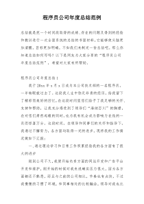 程序员公司年度总结范例