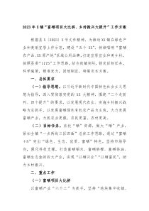 2023年X镇富硒项目大比拼乡村振兴大提升工作方案