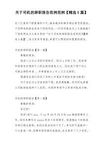 关于司机的辞职报告范例范例【精选5篇】