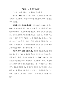 党的二十大精神学习总结