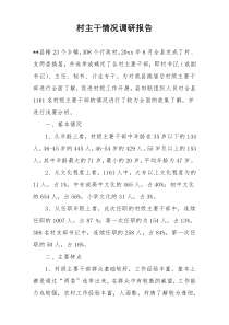 村主干情况调研报告