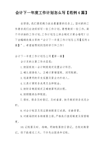 会计下一年度工作计划怎么写【范例4篇】
