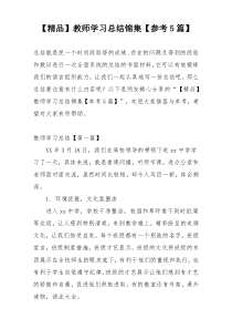【精品】教师学习总结锦集【参考5篇】