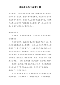 调查报告作文集聚5篇