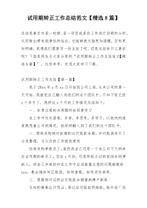 试用期转正工作总结范文【精选8篇】