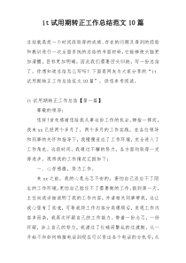 it试用期转正工作总结范文10篇