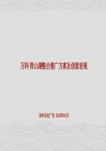 自在-万科青山湖整合推广提案