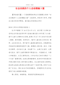 社会实践的个人总结精编3篇