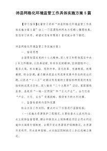 沛县网格化环境监管工作具体实施方案5篇