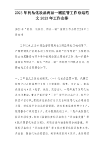 2023年药品化妆品两品一械监管工作总结范文2023年工作安排