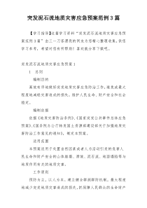 突发泥石流地质灾害应急预案范例3篇