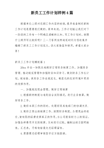 新员工工作计划样例4篇