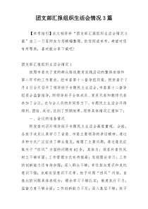 团支部汇报组织生活会情况3篇