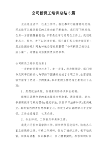 公司新员工培训总结5篇