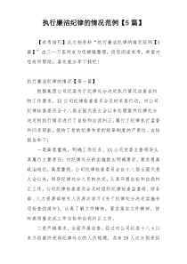 执行廉洁纪律的情况范例【5篇】