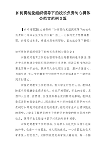 如何贯彻党组织领导下的校长负责制心得体会范文范例3篇