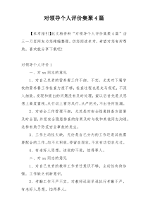 对领导个人评价集聚4篇