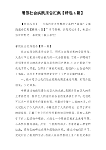 暑假社会实践报告汇集【精选4篇】