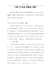 干部下乡总结【精选4篇】