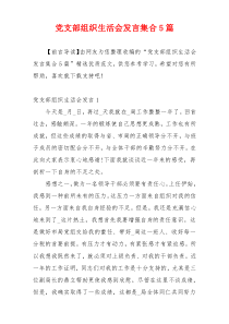 党支部组织生活会发言集合5篇