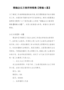 精编会议方案样例锦集【精编4篇】