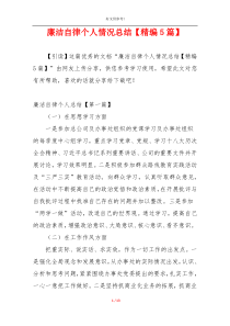 廉洁自律个人情况总结【精编5篇】