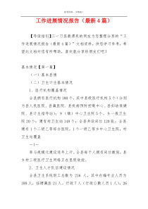 工作进展情况报告（最新4篇）