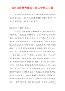 720郑州特大暴雨心得体会范文5篇