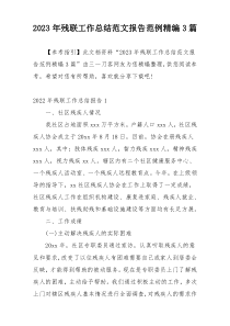 2023年残联工作总结范文报告范例精编3篇