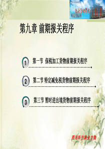报关实务第九章