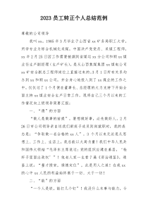 2023员工转正个人总结范例