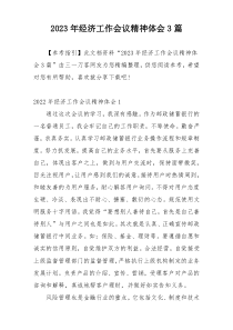 2023年经济工作会议精神体会3篇