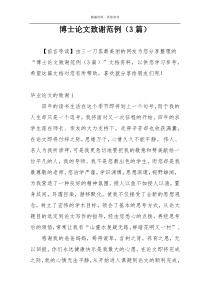 博士论文致谢范例（3篇）
