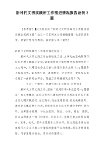 新时代文明实践所工作推进情况报告范例3篇