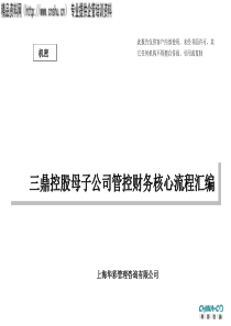 三鼎控股母子公司管控财务核心流程汇编（PPT21页）
