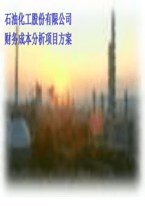 0530财务成本分析项目方案