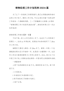 销售经理工作计划范例20234篇