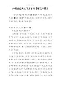外贸业务员实习月总结【精选5篇】