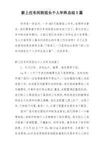 新上任车间班组长个人年终总结5篇