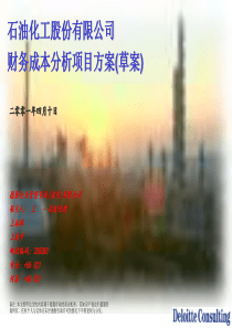 德勤财务控制方桉