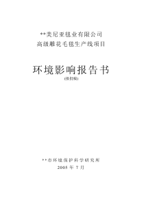 (纺织)毛毯报告书