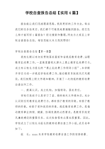 学校自查报告总结【实用4篇】