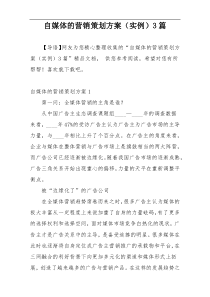 自媒体的营销策划方案（实例）3篇