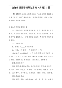 自媒体项目营销策划方案（实例）3篇