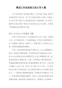 策划工作总结范文怎么写4篇