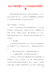 2023年度党建个人工作总结范文范例5篇