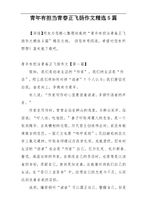 青年有担当青春正飞扬作文精选5篇