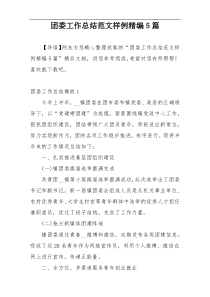 团委工作总结范文样例精编5篇