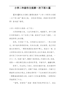 小学二年级作文观察一次下雨5篇