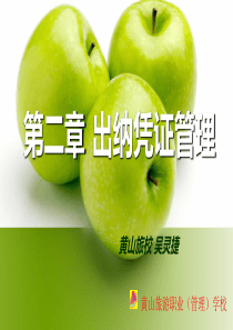 第二章 出纳凭证管理